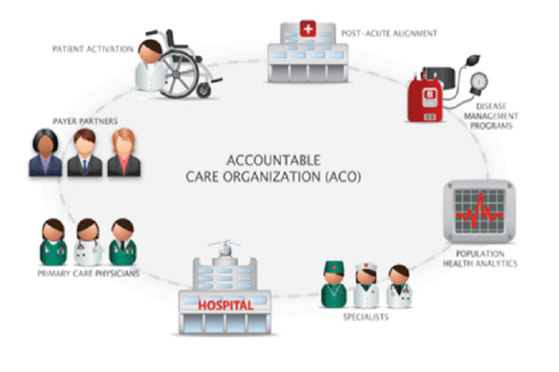 Business Planning and Finance for ACOs  1.5 CME